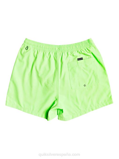 geco verde todos los días 15 voleas D6T4D460 hombres Quiksilver