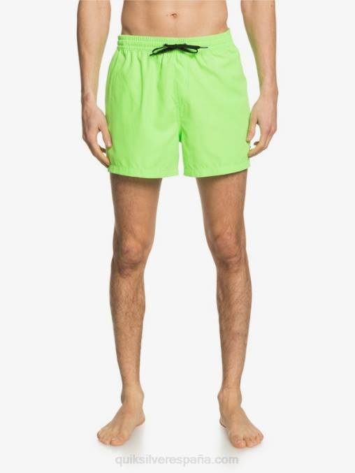 geco verde todos los días 15 voleas D6T4D460 hombres Quiksilver