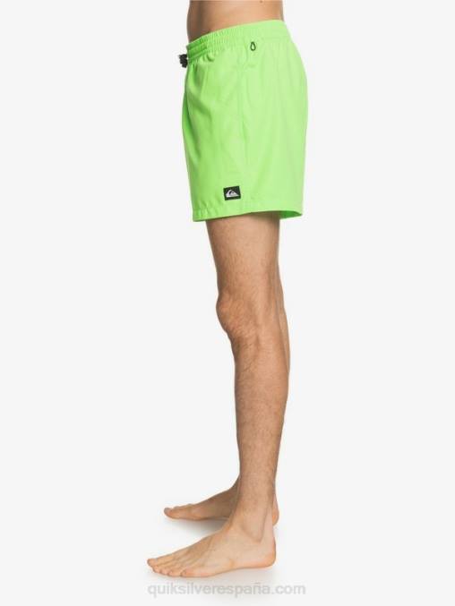 geco verde todos los días 15 voleas D6T4D460 hombres Quiksilver