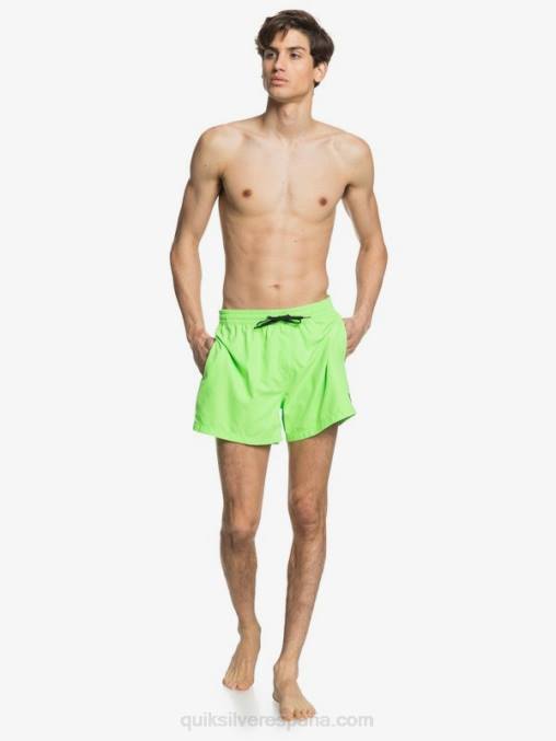 geco verde todos los días 15 voleas D6T4D460 hombres Quiksilver