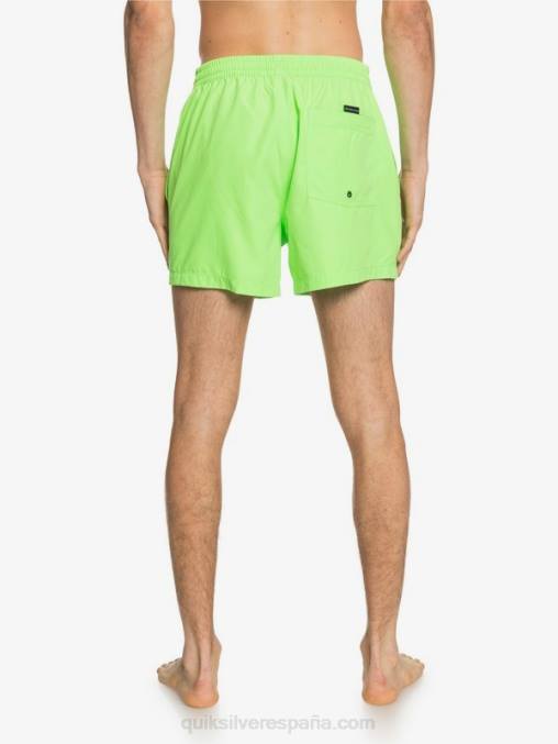 geco verde todos los días 15 voleas D6T4D460 hombres Quiksilver