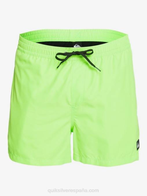 geco verde todos los días 15 voleas D6T4D460 hombres Quiksilver