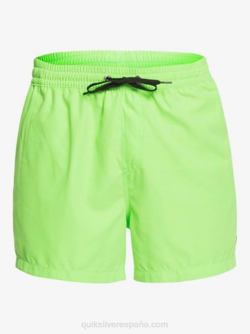 geco verde todos los días 15 voleas D6T4D460 hombres Quiksilver