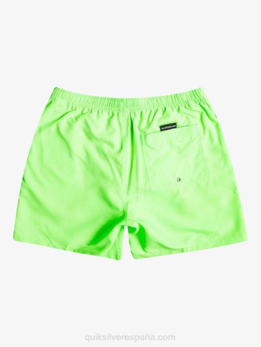 geco verde todos los días 17 voleas D6T4D621 hombres Quiksilver