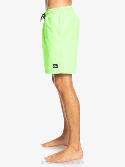 geco verde todos los días 17 voleas D6T4D621 hombres Quiksilver