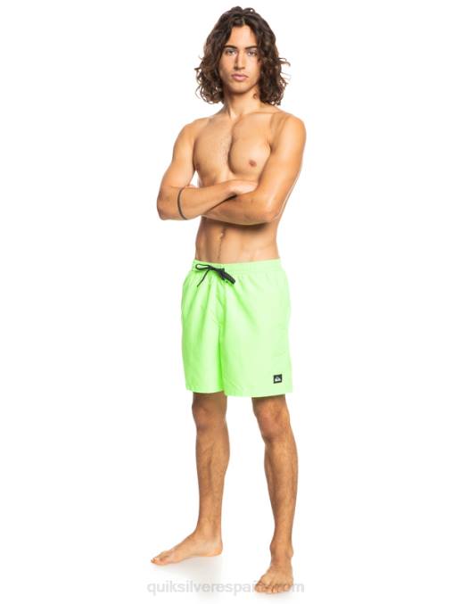 geco verde todos los días 17 voleas D6T4D621 hombres Quiksilver