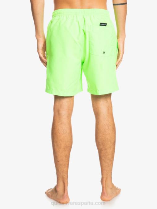 geco verde todos los días 17 voleas D6T4D621 hombres Quiksilver