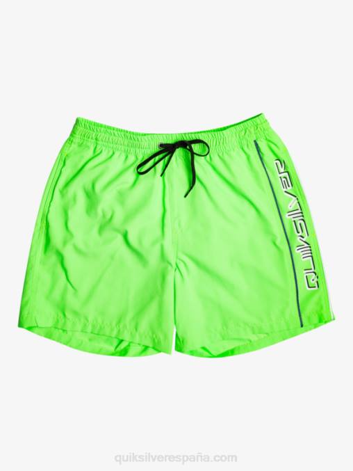 geco verde todos los días vert 16 voleas D6T4D696 hombres Quiksilver