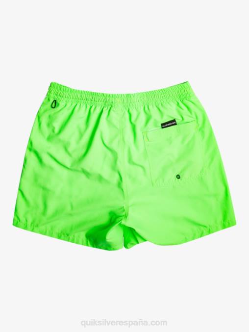 geco verde todos los días vert 16 voleas D6T4D696 hombres Quiksilver