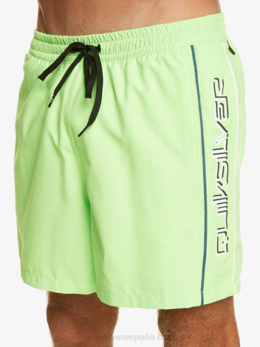 geco verde todos los días vert 16 voleas D6T4D696 hombres Quiksilver