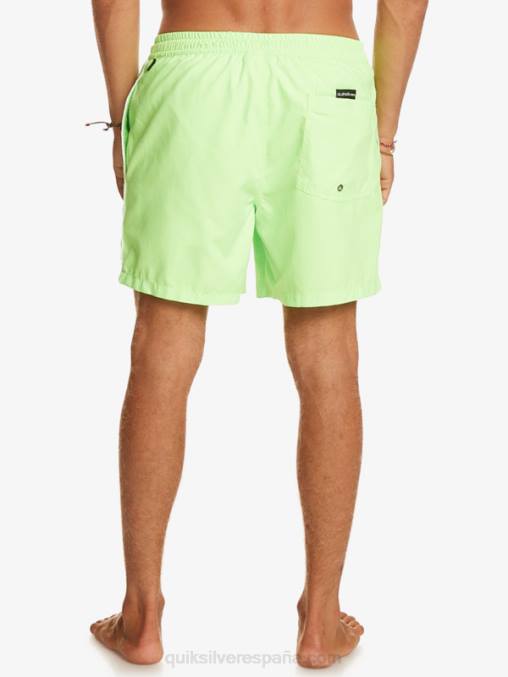 geco verde todos los días vert 16 voleas D6T4D696 hombres Quiksilver