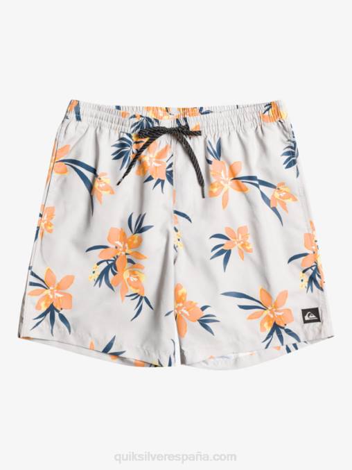 gris violeta mezcla todos los días 17 voleas D6T4D1210 hombres Quiksilver