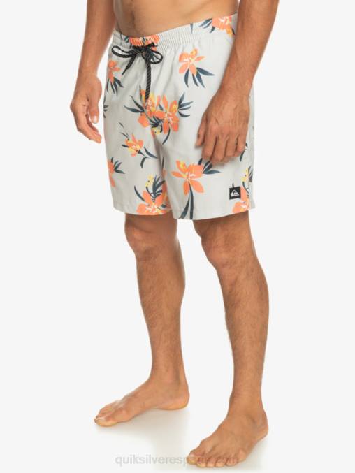 gris violeta mezcla todos los días 17 voleas D6T4D1210 hombres Quiksilver