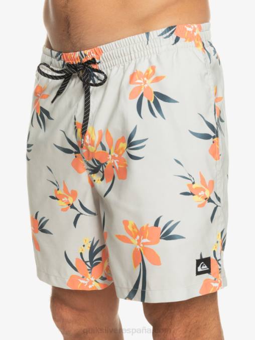gris violeta mezcla todos los días 17 voleas D6T4D1210 hombres Quiksilver