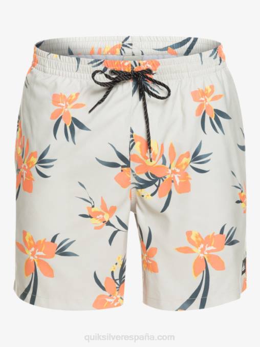 gris violeta mezcla todos los días 17 voleas D6T4D1210 hombres Quiksilver