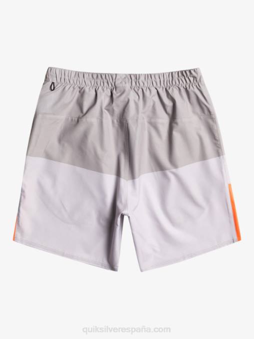 gris violeta pantalones cortos de entrenamiento omnistretch 17 D6T4D828 hombres Quiksilver