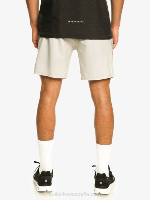 gris violeta pantalones cortos de entrenamiento omnistretch 17 D6T4D828 hombres Quiksilver