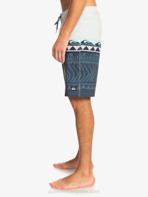 gris violeta shorts de playa surfsilk panel 20 D6T4D135 hombres Quiksilver