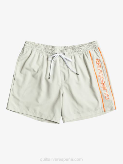 gris violeta todos los días vert 16 voleas D6T4D700 hombres Quiksilver