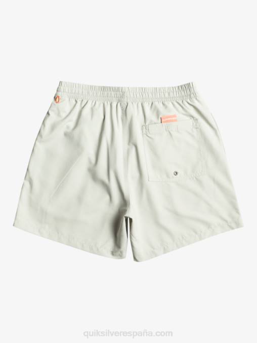 gris violeta todos los días vert 16 voleas D6T4D700 hombres Quiksilver