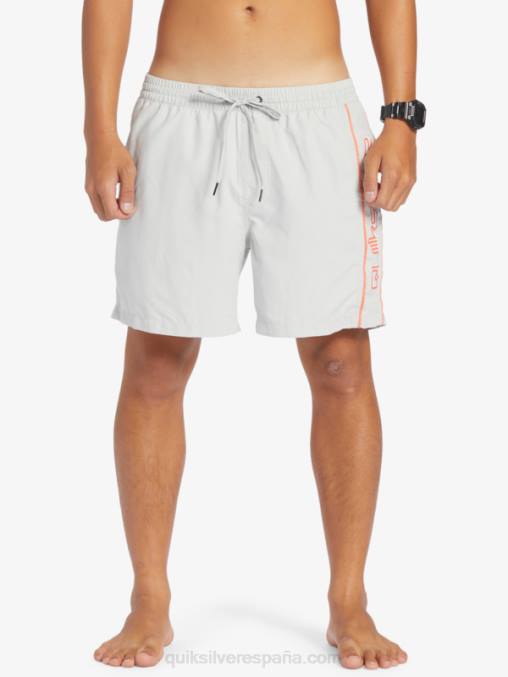 gris violeta todos los días vert 16 voleas D6T4D700 hombres Quiksilver