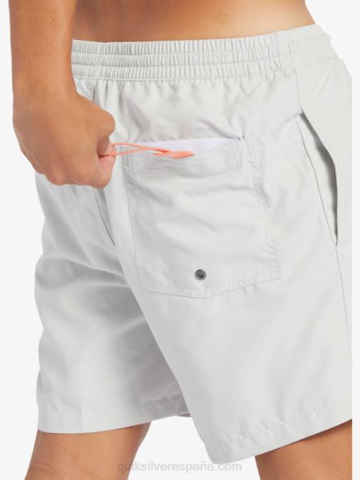 gris violeta todos los días vert 16 voleas D6T4D700 hombres Quiksilver