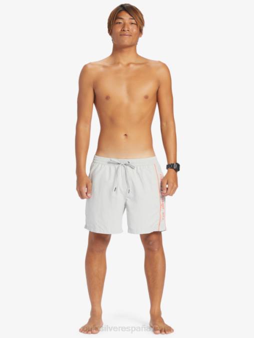 gris violeta todos los días vert 16 voleas D6T4D700 hombres Quiksilver