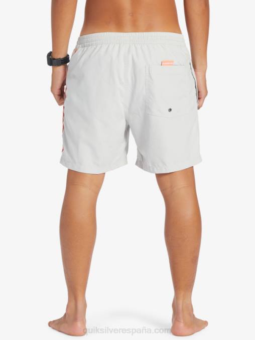 gris violeta todos los días vert 16 voleas D6T4D700 hombres Quiksilver
