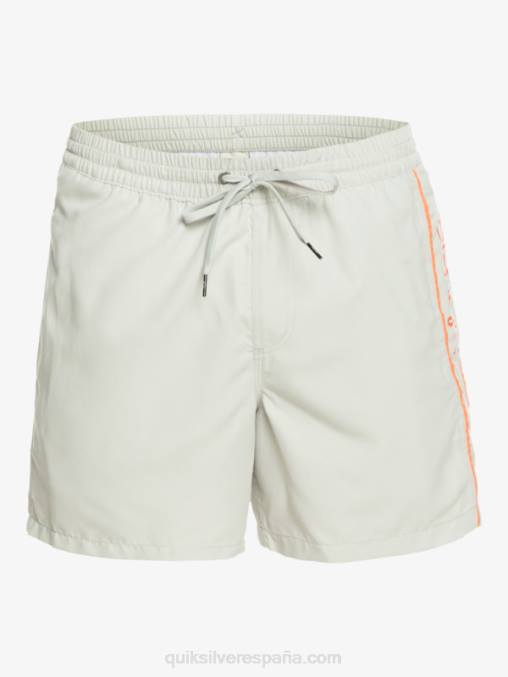 gris violeta todos los días vert 16 voleas D6T4D700 hombres Quiksilver