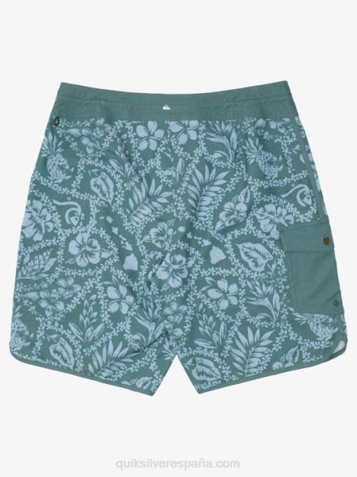 humo pino llegada lei shorts de baño lei 20 festoneados de la llegada de waterman D6T4D1418 hombres Quiksilver