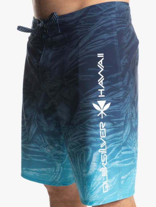 insignias azules surfsilk hawaii homegrown faded 20 boardshorts D6T4D1609 hombres Quiksilver