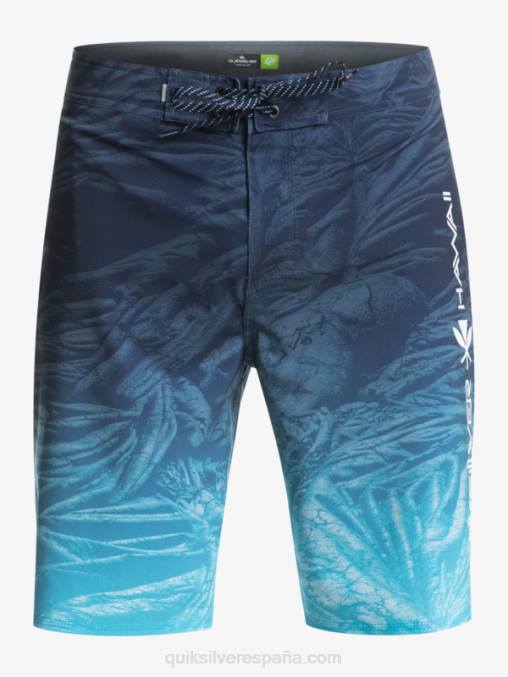insignias azules surfsilk hawaii homegrown faded 20 boardshorts D6T4D1609 hombres Quiksilver