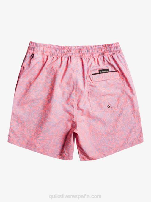 látigo de durazno mezcla todos los días 17 voleas D6T4D1466 hombres Quiksilver