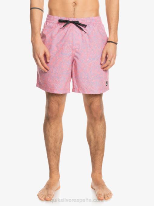 látigo de durazno mezcla todos los días 17 voleas D6T4D1466 hombres Quiksilver