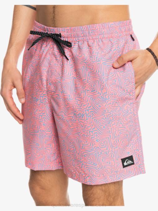 látigo de durazno mezcla todos los días 17 voleas D6T4D1466 hombres Quiksilver