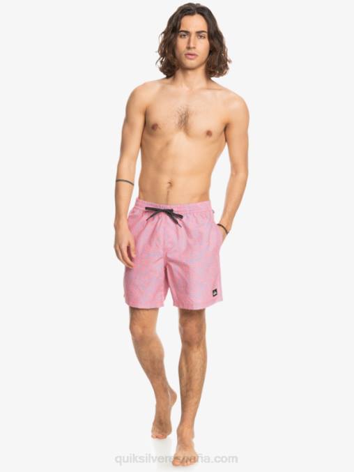látigo de durazno mezcla todos los días 17 voleas D6T4D1466 hombres Quiksilver