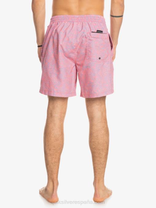látigo de durazno mezcla todos los días 17 voleas D6T4D1466 hombres Quiksilver