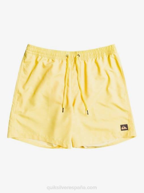 limón rallado todos los días 17 voleas D6T4D1526 hombres Quiksilver