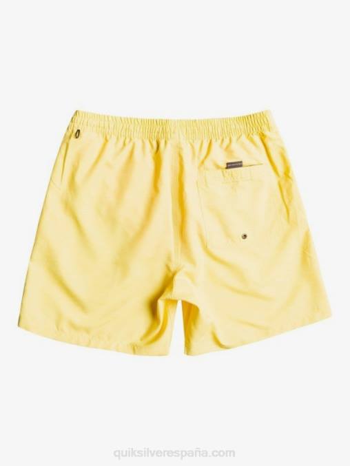 limón rallado todos los días 17 voleas D6T4D1526 hombres Quiksilver