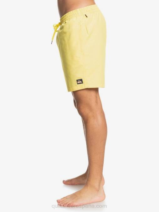 limón rallado todos los días 17 voleas D6T4D1526 hombres Quiksilver