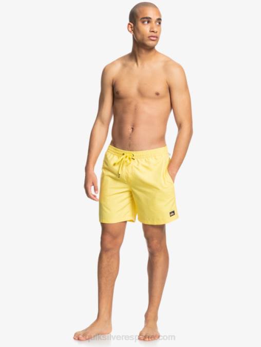 limón rallado todos los días 17 voleas D6T4D1526 hombres Quiksilver