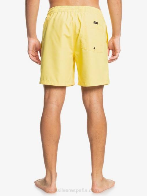 limón rallado todos los días 17 voleas D6T4D1526 hombres Quiksilver