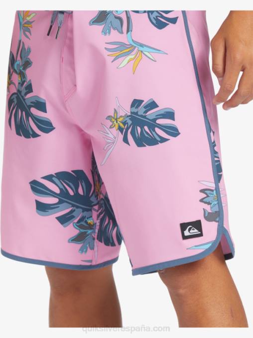 malva luna shorts de playa surfsilk festoneado 19 D6T4D217 hombres Quiksilver