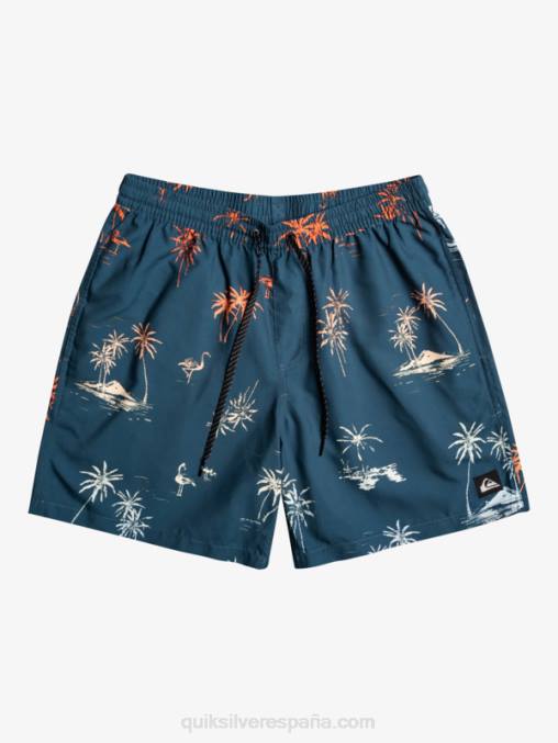 mayólica azul mezcla todos los días 17 voleas D6T4D1465 hombres Quiksilver
