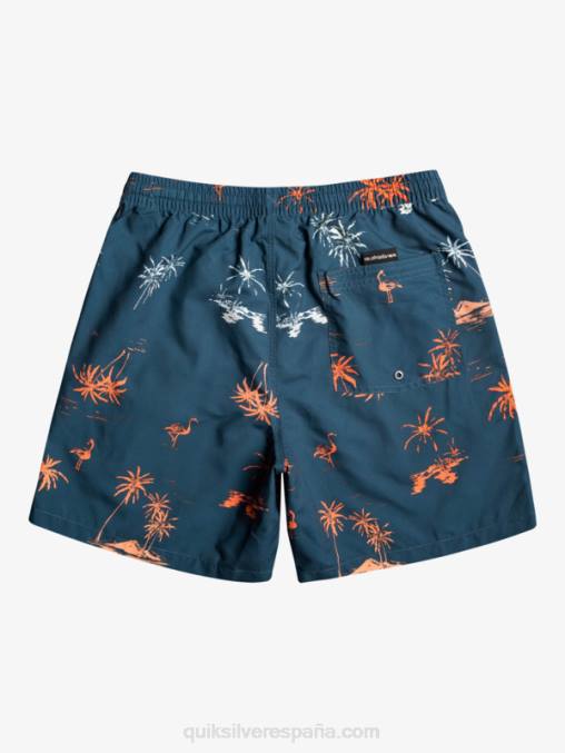 mayólica azul mezcla todos los días 17 voleas D6T4D1465 hombres Quiksilver