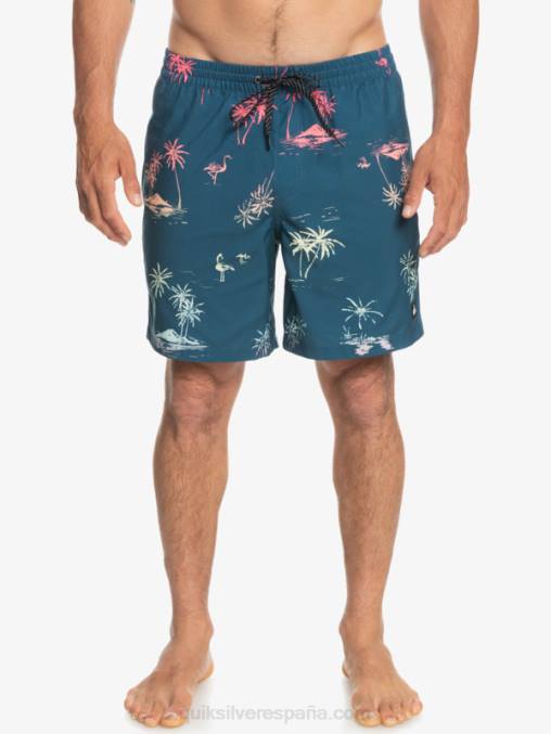 mayólica azul mezcla todos los días 17 voleas D6T4D1465 hombres Quiksilver