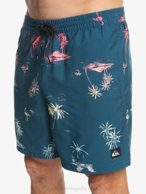 mayólica azul mezcla todos los días 17 voleas D6T4D1465 hombres Quiksilver