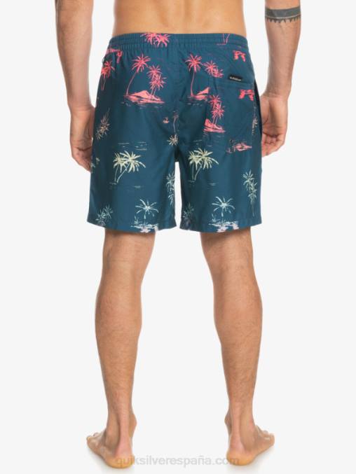 mayólica azul mezcla todos los días 17 voleas D6T4D1465 hombres Quiksilver