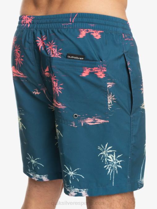 mayólica azul mezcla todos los días 17 voleas D6T4D1465 hombres Quiksilver