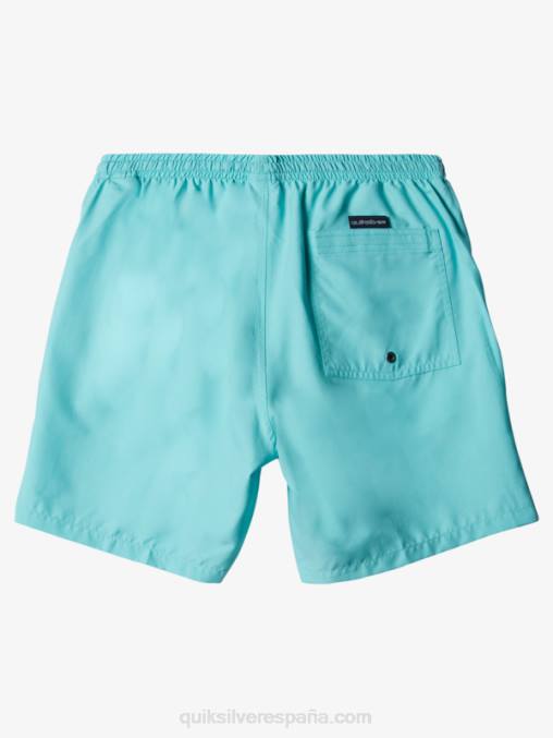 ángel azul brezo todos los días 17 voleas D6T4D630 hombres Quiksilver